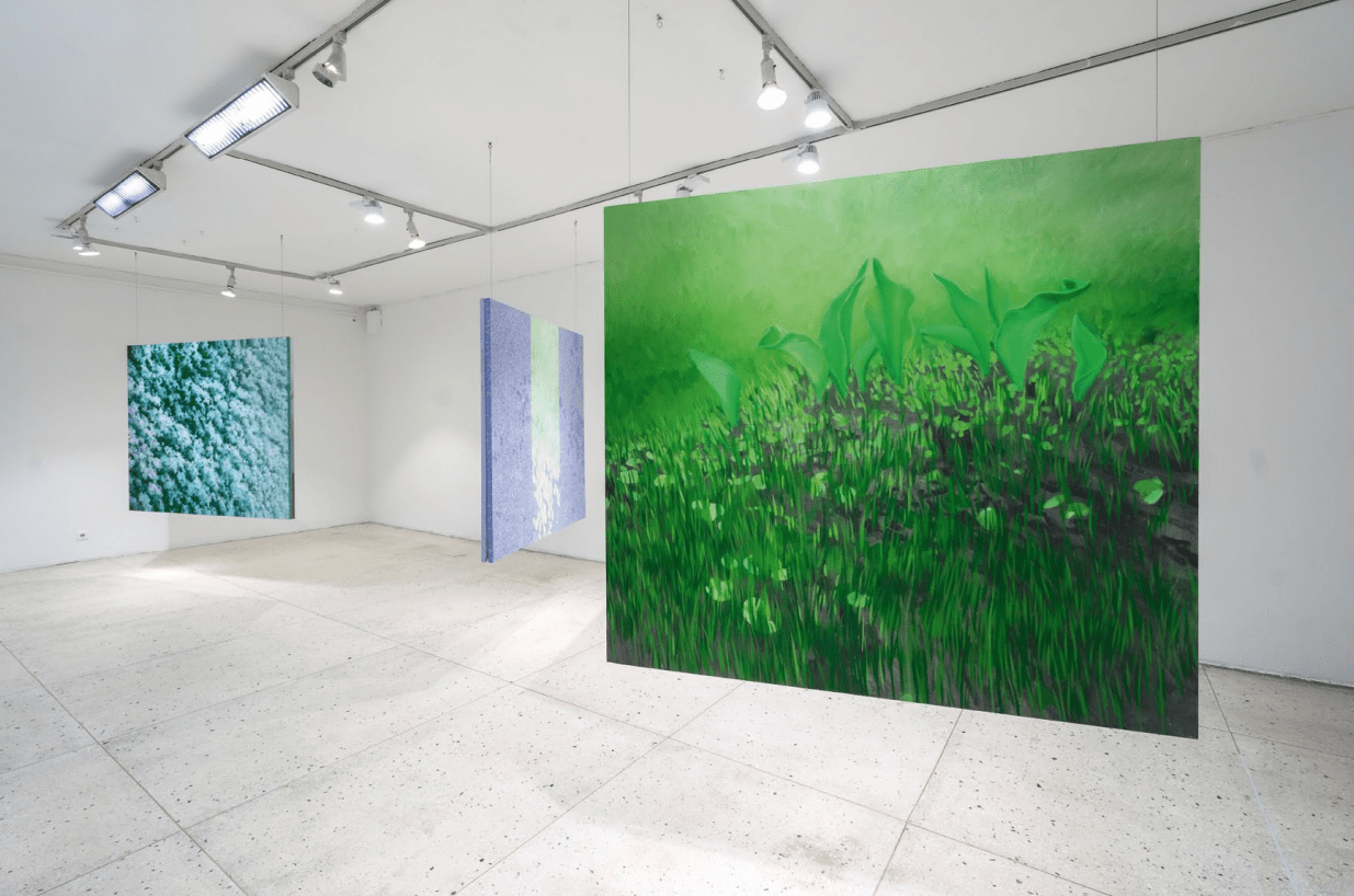 Eleriin Ello award entry image