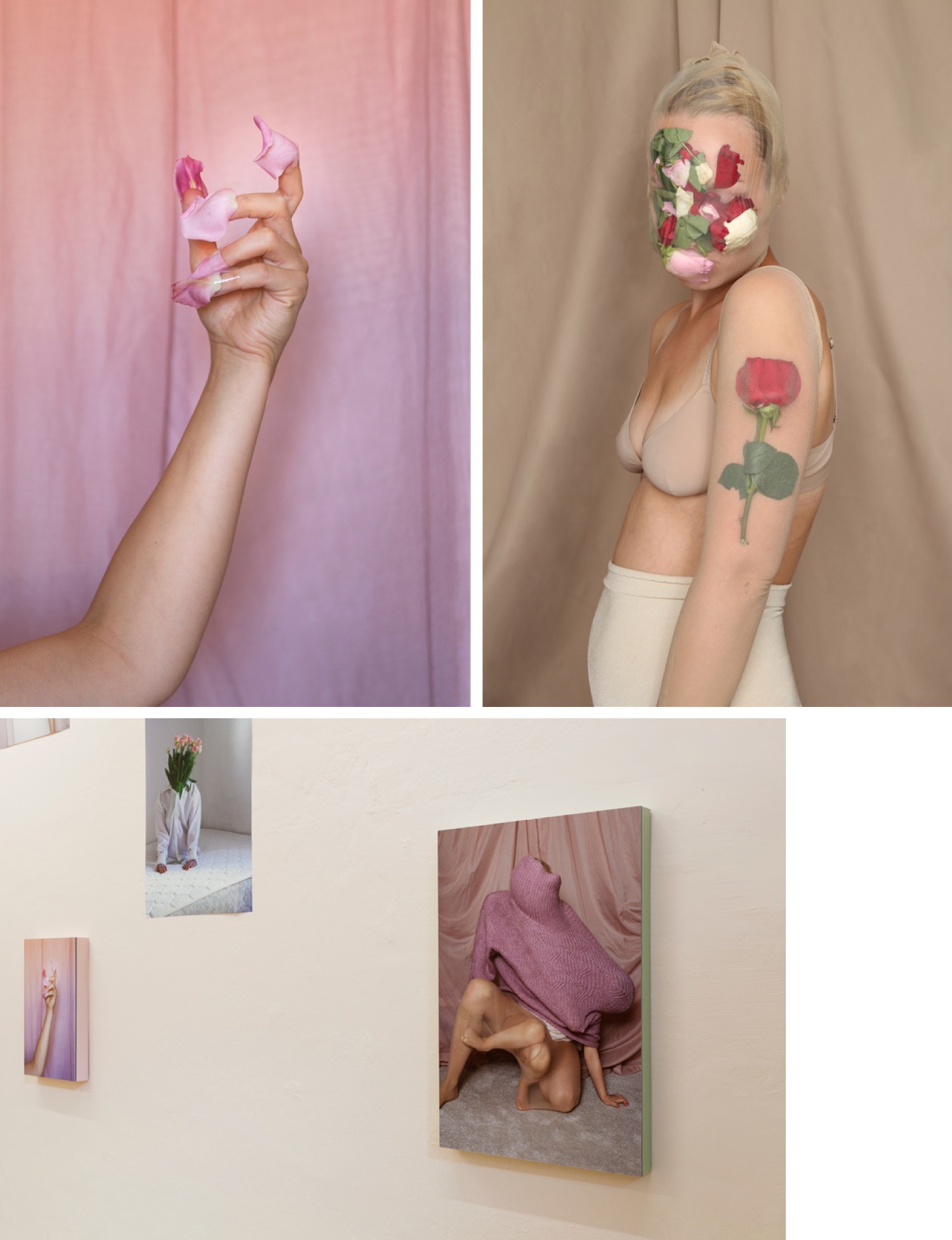 Nominee 5: Cloe Jancis